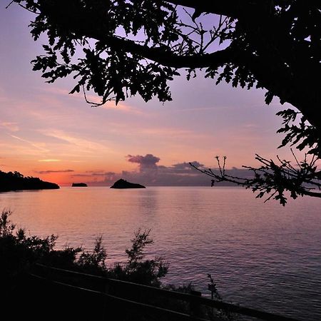 トーキー English Riviera Sunriseヴィラ エクステリア 写真